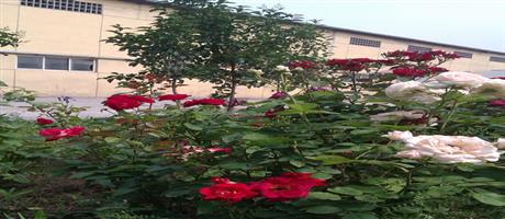 星空体育登录官网_星空（中国）,公司生产区一景