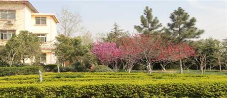 星空体育登录官网_星空（中国）,春景（四）