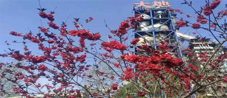 星空体育登录官网_星空（中国）,春景（六）