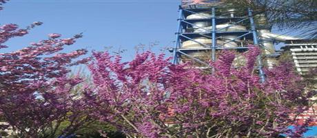 星空体育登录官网_星空（中国）,春景（十）