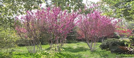 星空体育登录官网_星空（中国）,春色（四）