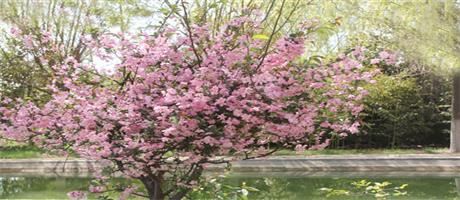 星空体育登录官网_星空（中国）,春色（六）